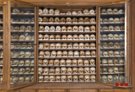 Teil der Skelettsammlung am Naturhistorischen Museum Wien; Foto: W. Reichmann