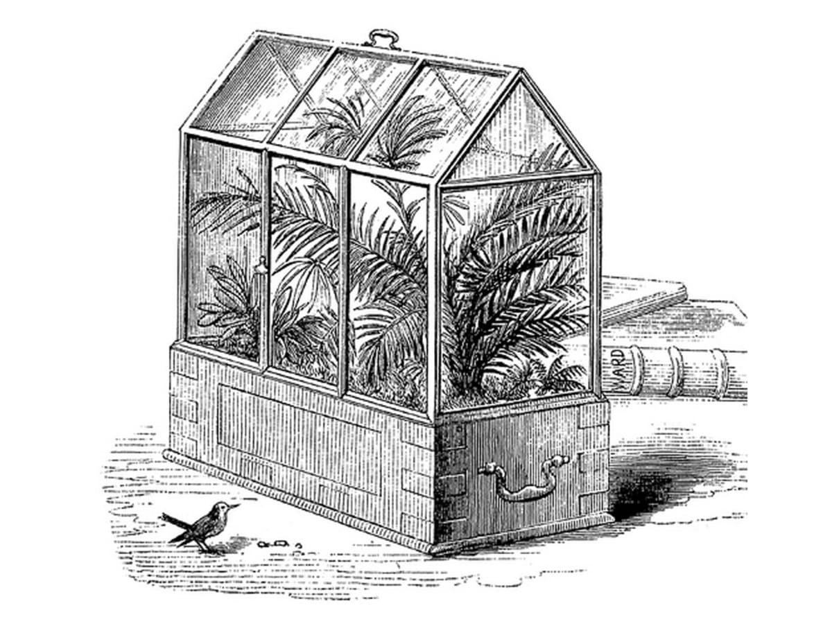 [em][en]On the Growth of Plants in Closely Glazed Cases[/em][/en], Nathaniel Bagshaw Ward (John Van Voorst, Paternoster Row, 1852) (Ward, p. 71)