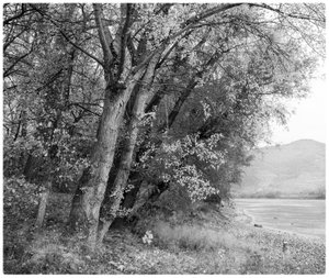 Künstlerinnengespräch mit Petra Lutnyk, Künstlerin, und der Kunsthistorikerin Brigitta Höpler über den künstlerischen Blick auf die Natur, fotografische Irritationen und das Aufbegehren gegen die Schnelllebigkeit.