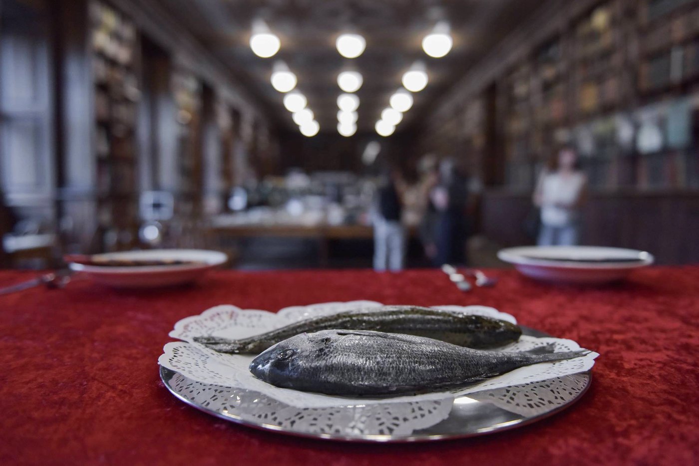 Ausstellungsansicht von zwei toten Fischen auf einem Silbertablett, fotografiert auf rotem Stoff.