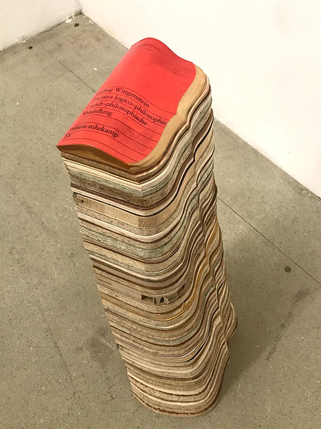 Zu sehen ist ein 65 cm hoher Turm aus 50 Holzschichten aufgebaut. Die einzelnen Schichten heben sich durch ihre verschiedenen Farben und Holztypen optisch deutlich voneinander ab. Die oberste Schicht bildet das Buchcover von Wittgensteins „Tractatus Logico-Philosophicus“ der Edition Suhrkamp in roter Farbe. Der Turm wurde entlang der rechten Seite in Form einer geschweiften Klammer gefräst. Das Foto wurde von schräg rechts oben aufgenommen.