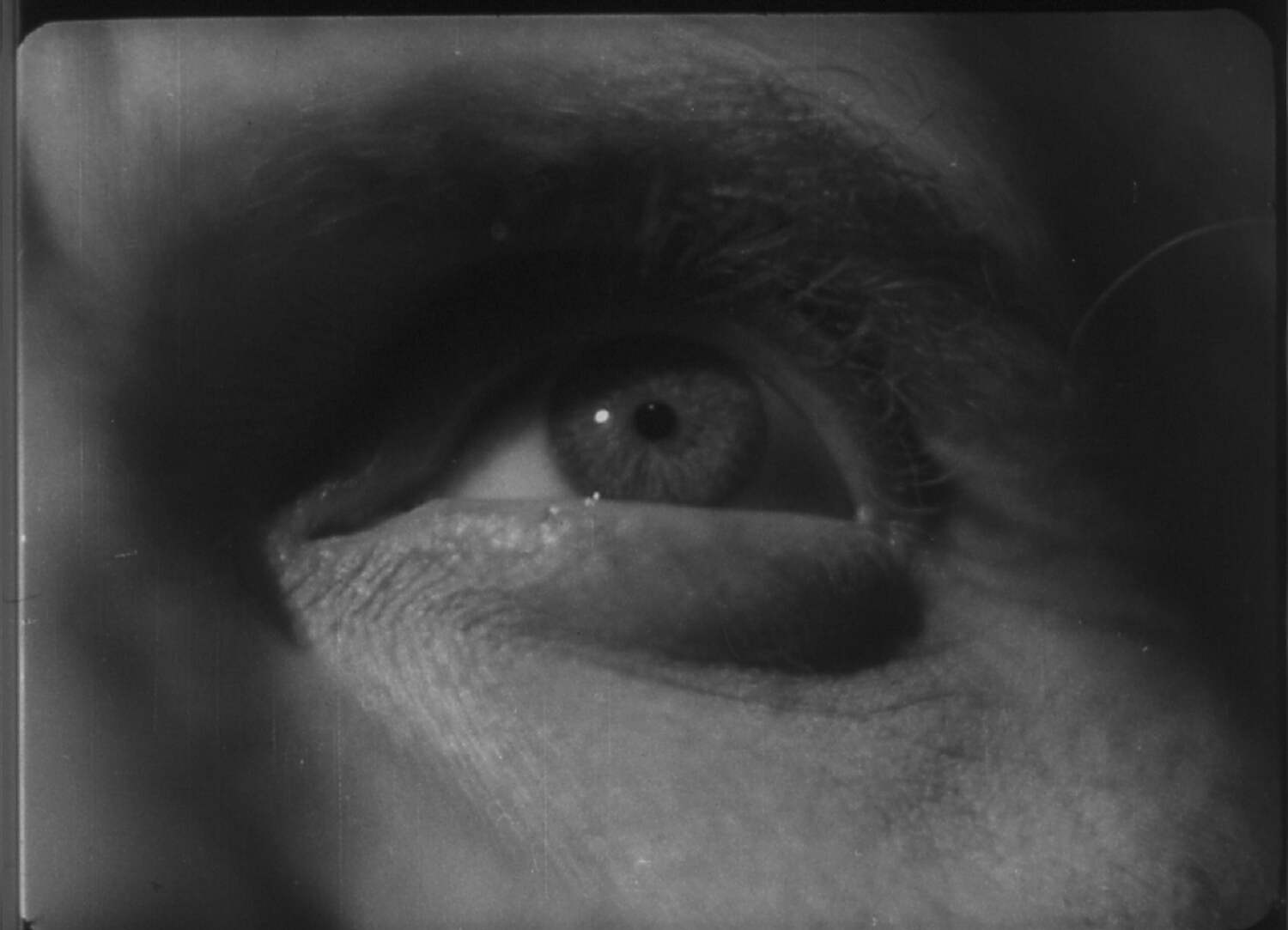 Kurt Steinwender, "Der Rabe", 1951 (Still)
Bildquelle: Filmarchiv Austria