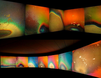 Composite of Gustav Metzger's Liquid Crystal Environment (1965-ongoing). Images taken from Adrian Fogarty's 'Manual for Gustav Metzger's Liquid Crystal Environment, Iss. 04 March 2017', (unpublished)