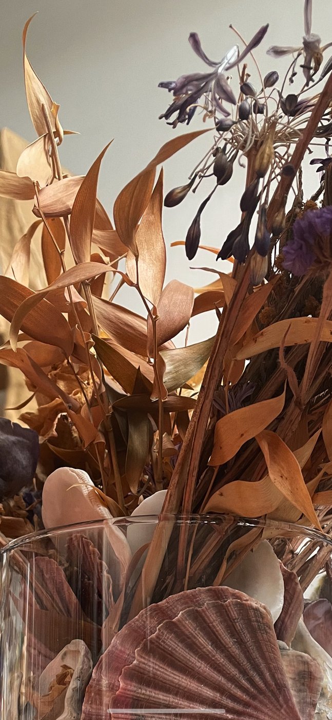 Picture of dry plants in a glas vase with shells in it