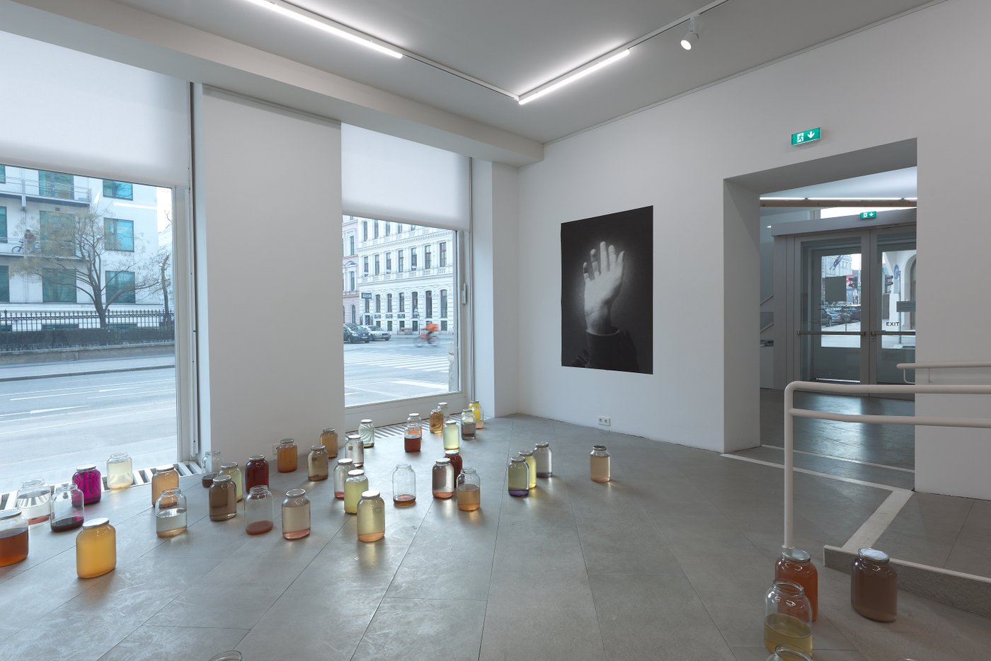 In the exhibition room there are glasses with colored liquids, on the back wall there is a photo with a raised hand showing its palm, you can see through the large windows the outside space of the gallery.