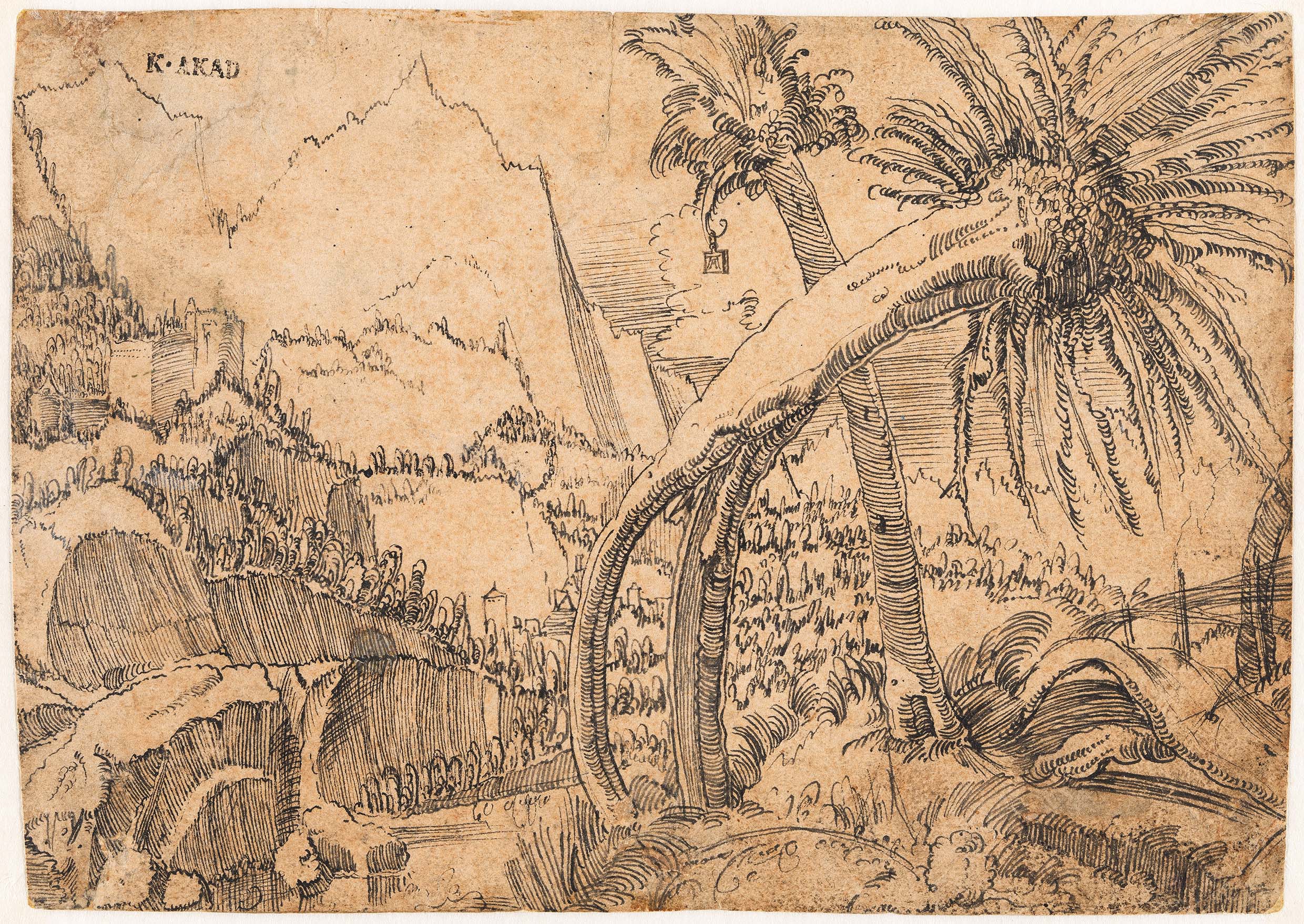 Albrecht Altdorfer, [em]Mountain Landscape with Weathered Willows[/em], ca. 1511, ink on paper © Graphic Collection of the Academy of Fine Arts Vienna