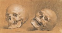 Hubert Maurer, [em]Two Skulls[/em], ca. 1800, chalk on paper © Graphic Collection of the Academy of Fine Arts Vienna