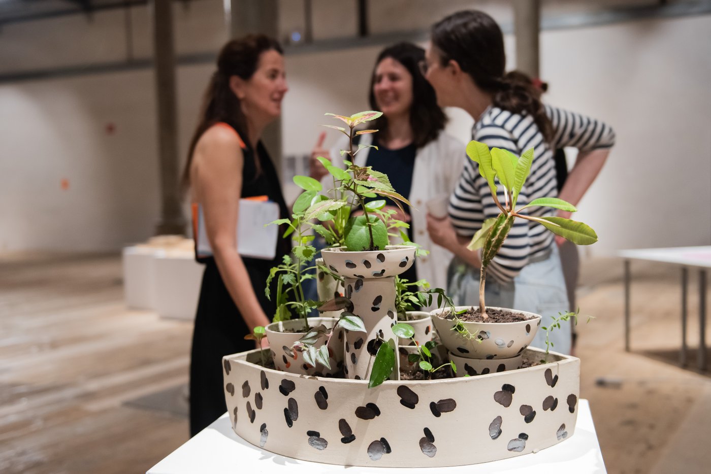 three person talking, in a front plants in vases