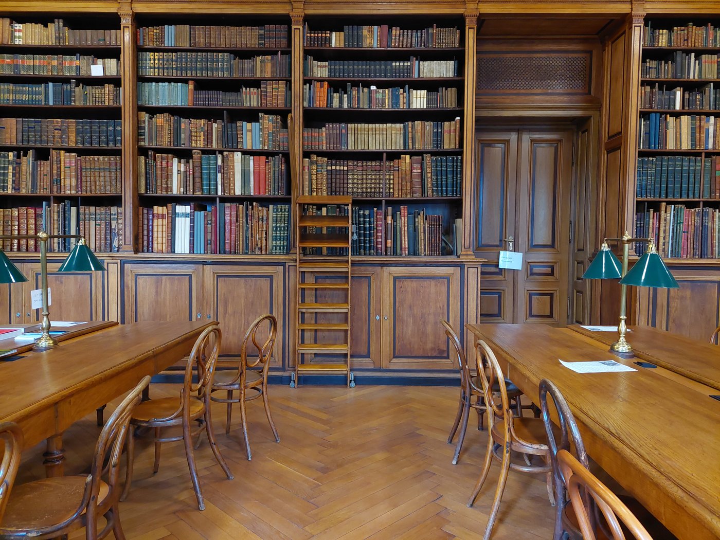 University Library at the Academy of Fine Arts Vienna, Photo: Public Relations