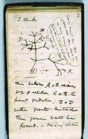 Darwin's Notebook, with the permission of the Cambridge University Library Syndicate